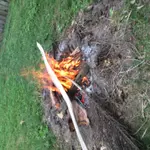 IMG_1331[1].webp