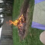 IMG_1332[1].webp