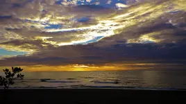 DSCN5856.webp