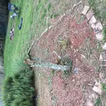 IMG_1334[1].webp