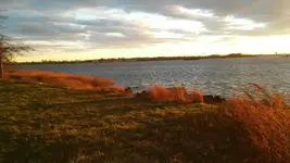 1450575446321.webp