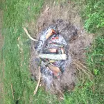 IMG_1335[1].webp