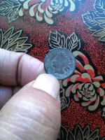 CAM00559.webp