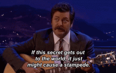 gif.gif