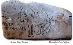 horse peralta.webp