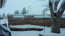 1451227170537.webp