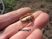 Gold ring on Gopher Mound 003.webp
