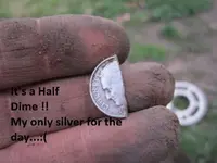Gold ring on Gopher Mound 007.webp