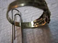 Gold ring on Gopher Mound 006.webp