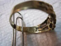 Gold ring on Gopher Mound 007.webp
