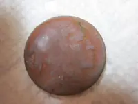 Gold ring on Gopher Mound 009.webp