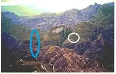 rdttTayopa1Reviseddowsed.webp