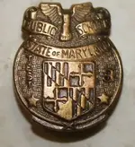 vintage pin.webp vintage pin.webp