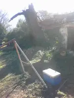 1449333096617.webp