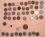 Todays Haul.webp