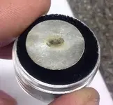 silver button back.webp