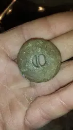 buttonB.webp