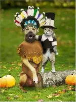 Happy tgiving.webp