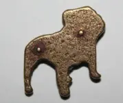 dog back.webp