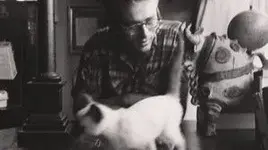 JAMES-DEAN-CAT-PIC-300x168.webp