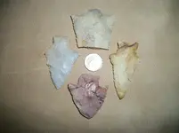 100_4091.webp 100_4091.webp