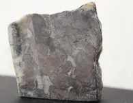 Hudson Bay Mine Silver Slice (front).webp