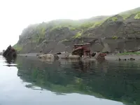 kiska 1.webp