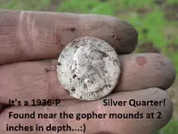 Silver Quarter 006.webp