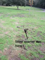 Silver Quarter 010.webp