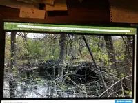 ImageUploadedByTreasureNet.com1448560705.696885.webp