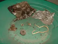 DSCF0039.webp