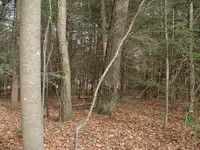 DSCF0001.webp