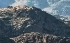 LDM region.webp