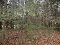 DSCF0003.webp