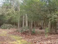 DSCF0005.webp