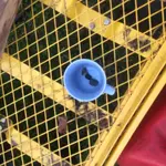 IMG_1361[1].webp