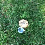 IMG_1369[1].webp