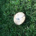IMG_1372[1].webp