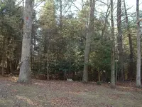 DSCF0002.webp