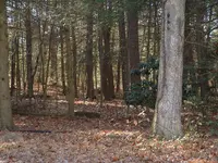 DSCF0003.webp