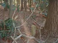 DSCF0004.webp