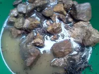 006.webp 006.webp