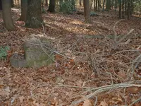 DSCF0005.webp