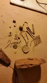 1449367626760.webp