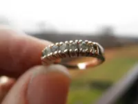 schoolring2.webp