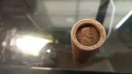 penny roll 3.webp