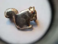 squirrel resized.webp