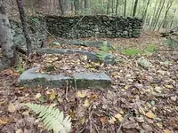 PA050090.webp