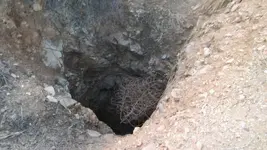vert pit.webp vert pit.webp