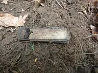 PA050093.webp